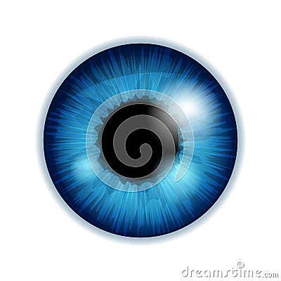 Human eye iris pupil - blue color Vector Illustration