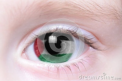 Human eye with national flag of palestine Stock Photo