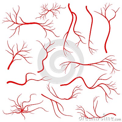 Human eye veins, vessel, blood arteries isolated on white vector set Vector Illustration