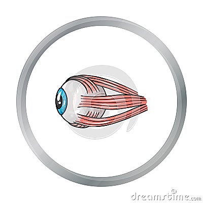 Human eyeball icon in cartoon style isolated on white background. Human organs symbol stock vector illustration. Vector Illustration