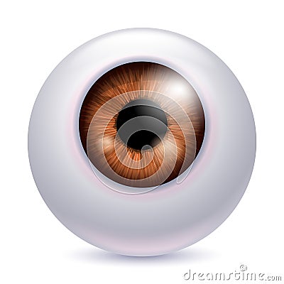 Human eyeball iris pupil - brown color. Vector Illustration