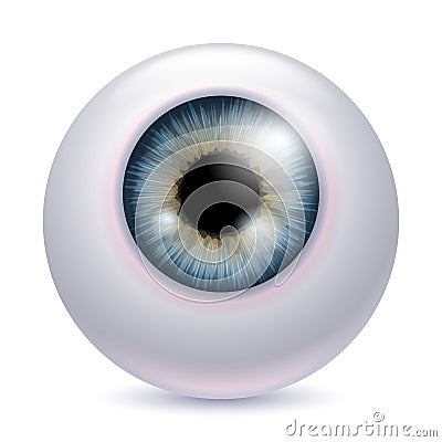 Human eyeball iris pupil - gray color. Vector Illustration