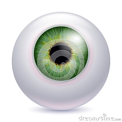 Human eyeball iris pupil - green color Vector Illustration