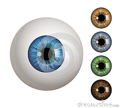 Human eyeball. People anatomical items macro view vision 3d medical decent vector symbols Cartoon Illustration