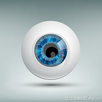 Human eyeball. Stock illustration. Vector Illustration