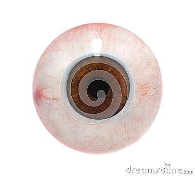 Human Eyeball Stock Photo