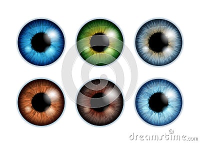 Human eyeballs iris pupils set - assorted colors. Vector Illustration