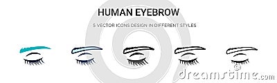 Human eyebrow icon in filled, thin line, outline and stroke style. Vector illustration of two colored and black human eyebrow Vector Illustration