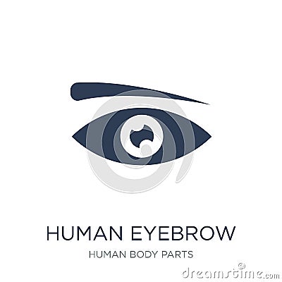 Human Eyebrow icon. Trendy flat vector Human Eyebrow icon on white background from Human Body Parts collection Vector Illustration