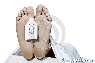Human feet Stock Photo