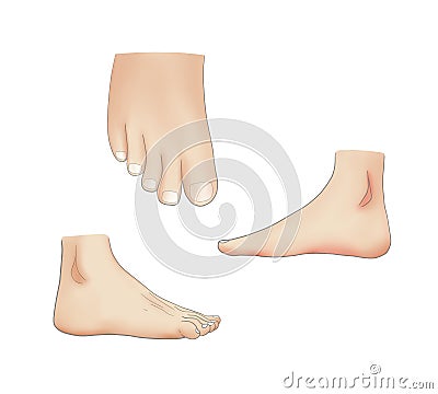 human feet painting Cartoon Illustration