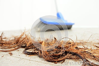 Human female hair on floor Stock Photo