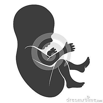 Human fetus icon Vector Illustration