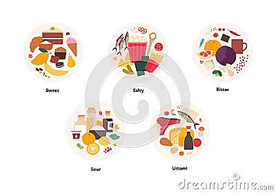 Human five taste infographic. Vector flat modern illustration. Sweet, umami, sour, salty, bitter product icon group set in circle Vector Illustration