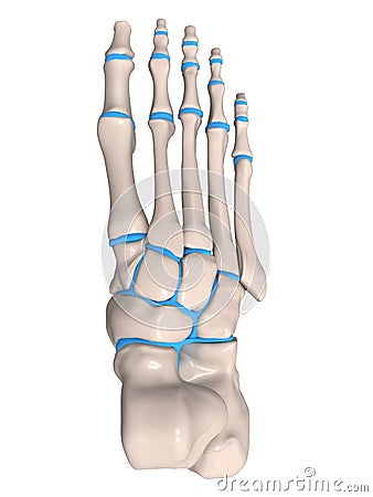 Human foot Cartoon Illustration