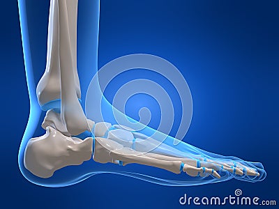 Human foot Cartoon Illustration