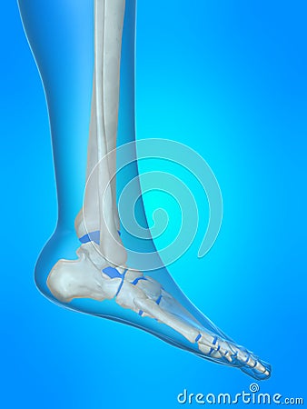 Human foot Cartoon Illustration