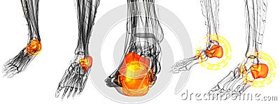 Human Foot Joint Pains Cartoon Illustration