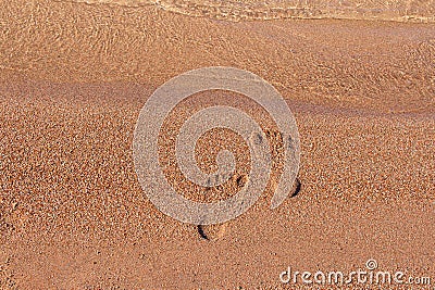 Human footprints on sand of beach near sea coast. Monochrome. Vacation, travel, summer. Steps on shore. Copy space Stock Photo