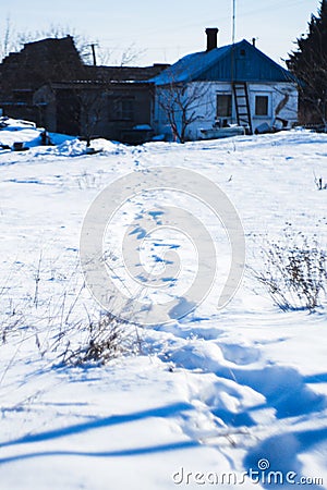 Human footprints in the snow, winter path in the field leading to the small rural house Stock Photo