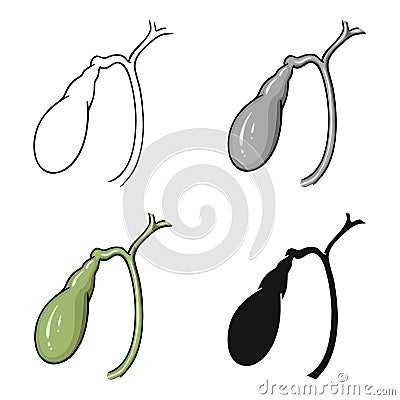 Human gallbladder icon in cartoon style isolated on white background. Human organs symbol stock vector illustration. Vector Illustration