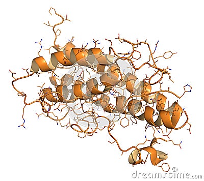 Human growth hormone (hGH, Somatotropin) molecule. Natural hormone that is used both as a drug and as a doping agent. Stock Photo