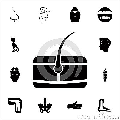 human hair icon. Detailed set of Human parts icons. Premium quality graphic design sign. One of the collection icons for websites, Stock Photo