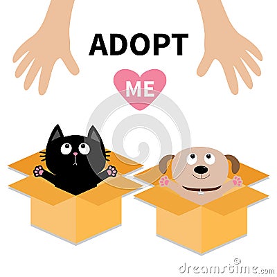 Human hand. Adopt me. Dog Cat inside opened cardboard package box. Ready for a hug. Puppy pooch kitten cat looking up to pink hear Vector Illustration