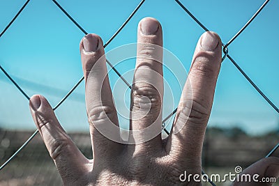 Human hand on a chain-link mesh or fencing mesh against a blue sky background. Gloomy toning. The concept of the desire for Stock Photo