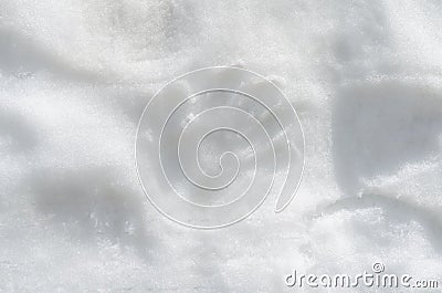 Human hand prints on the white snow Stock Photo