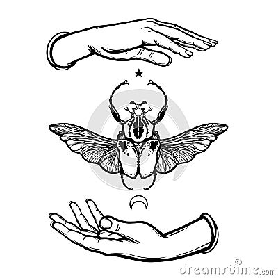 Human hands hold Goliath`s bug. Symbol of the moon. Mystical allegory. Vector Illustration