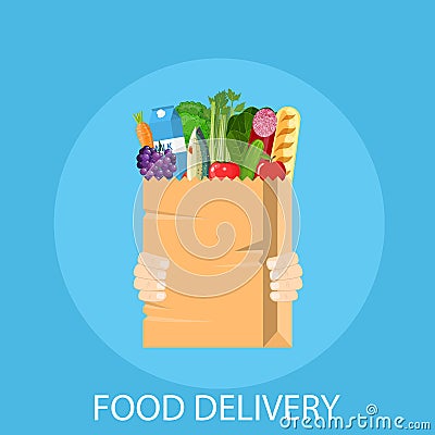 Human hands holding bag with grocery Vector Illustration