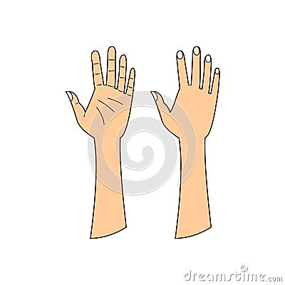 Human hands, isolated linear illustration, human body parts isolated Vector Illustration