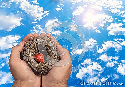 Human hands keep a natural nest with a red heart inside and a child tries to reach this nest. Family bonds, protection, security, Stock Photo