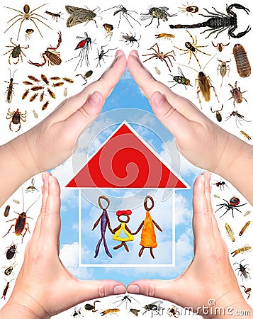 Human hands protecting your home from insect pests Stock Photo
