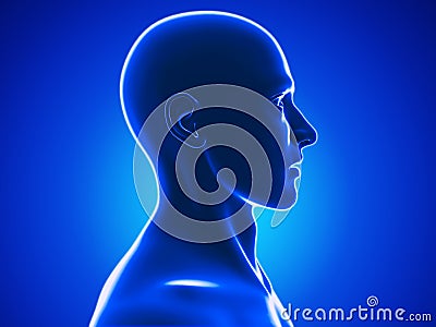 Human head Stock Photo