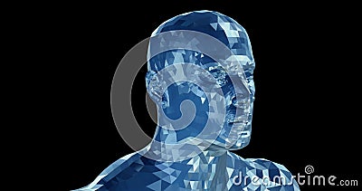 3d model of male human face.Polygon facets. Glass, Transparent human head. 3d rendering illustration Cartoon Illustration