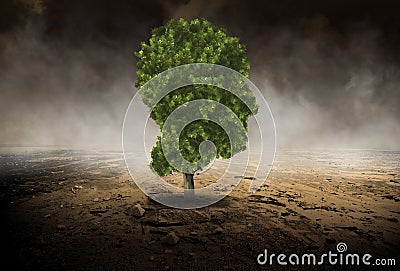 Human Head Tree, Environment, Evironmentalist Stock Photo