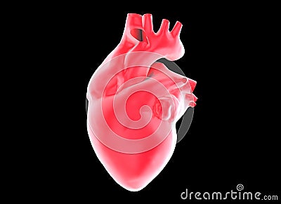 Human heart Stock Photo