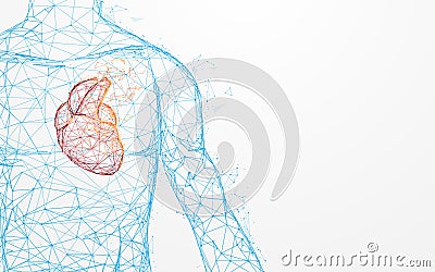 Human heart anatomy form lines and triangles, point connecting network on blue background Vector Illustration