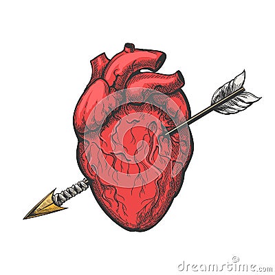 Human heart with arrow tattoo etching Vector Illustration