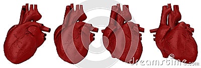 Human heart concept Cartoon Illustration