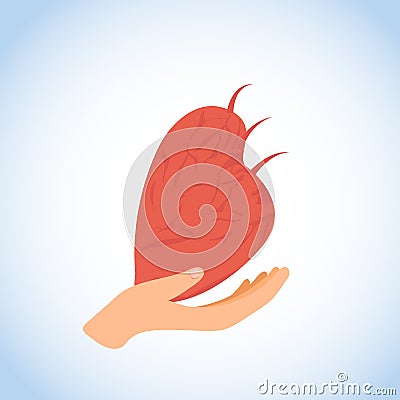 Human Heart in Hand Flat Vector Icon or Logo Vector Illustration