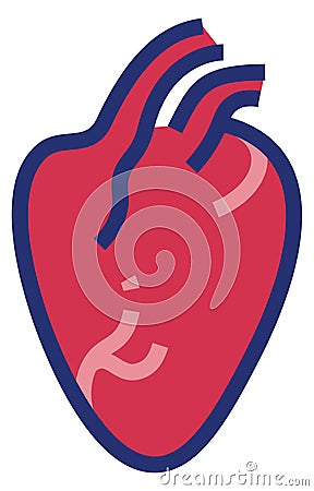 Human heart icon. Cardiology symbol. Anatomy sign Vector Illustration