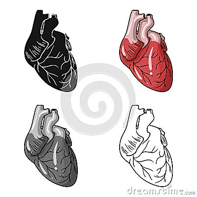 Human heart icon in cartoon style isolated on white background. Human organs symbol stock vector illustration. Vector Illustration