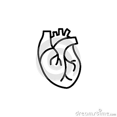 Human heart medical vector desease cardiovascular organ anatomy. Healthy human heart organ shape line icon. Vector Illustration