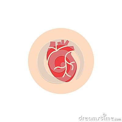 Human heart medical vector desease cardiovascular organ anatomy. Healthy human heart organ shape flat icon. Vector Illustration