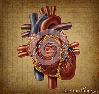 Human Heart Old Grunge Medical Document Stock Photo