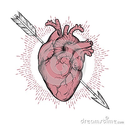 Human heart pierced with cherubs arrow hand drawn line art and dotwork. Flash tattoo or print design vector illustration Vector Illustration