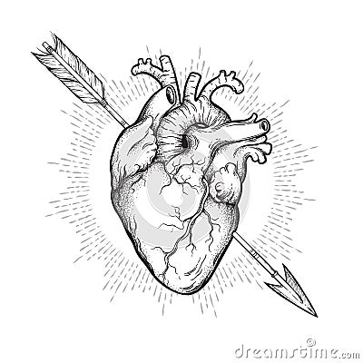 Human heart pierced with cherubs arrow hand drawn line art and dotwork. Flash tattoo or print design vector illustration Vector Illustration